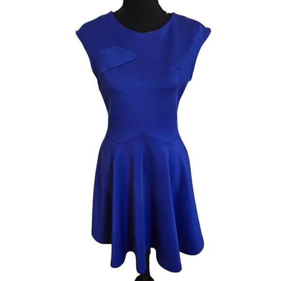 Ted Baker Womens Sleeveless Arwyn Paneled Fit and Flare Skater Dress Blue Size 2 - Picture 1 of 12